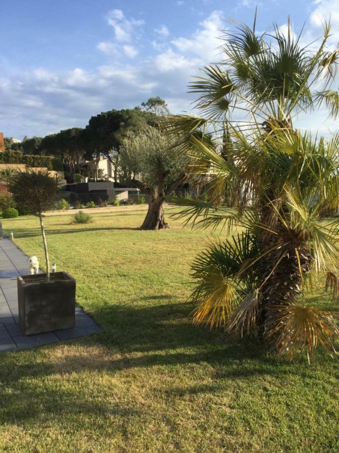 Casa Llosa روساس المظهر الخارجي الصورة